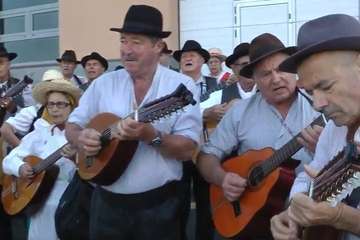  San Francisco ofenda a su patrono con un romería participativa (Foto TF)
